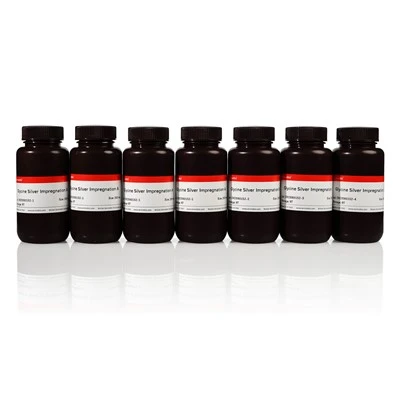 Silver Glycine Staining Kit