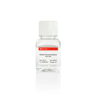 Sodium Pyruvate (100 MM)