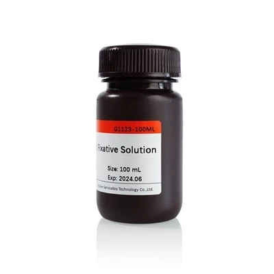 Special Fixative Solution For Dense Tissue