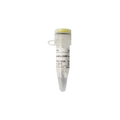 Streptavidin (HRP Conjugated)