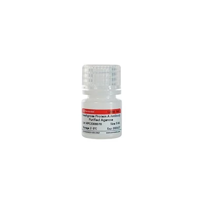 SweAgarose Protein A Antibody Purified Agarose