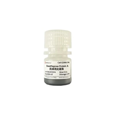 SweMagrose Protein A Antibody Purified Magnetic Beads