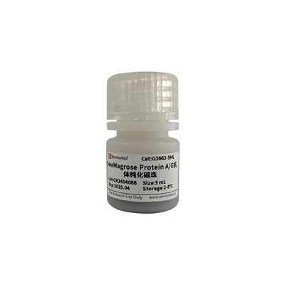 SweMagrose Protein A/G Antibody Purified Magnetic Beads