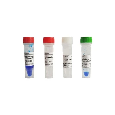 SweScript All-in-One Blue RT SuperMix For QPCR (One-Step GDNA Remover)