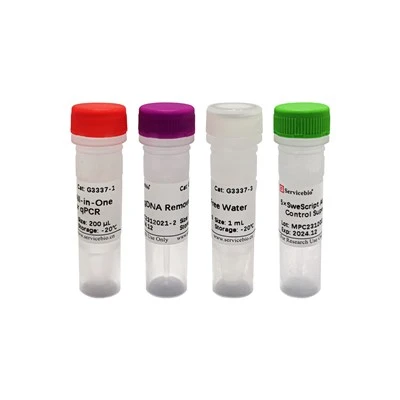 SweScript All-in-One RT SuperMix For QPCR (One-Step GDNA Remover)