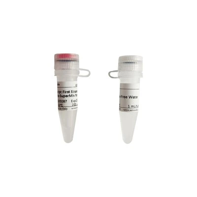 SweScript First Strand CDNA Synthesis SuperMix For PCR
