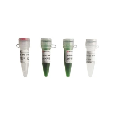 SweScript One-Step RT-PCR Kit
