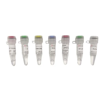 SweScript RT I First Strand CDNA Synthesis Kit (With GDNA Remover)