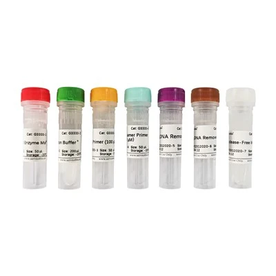 SweScript RT II First Strand CDNA Synthesis Kit (With GDNA Remover)