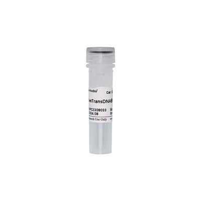 SweTransDNA Transfection Reagent