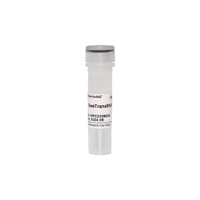 SweTransRNA Transfection Reagent