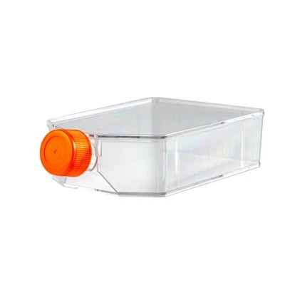 T175 Cell Culture Flask