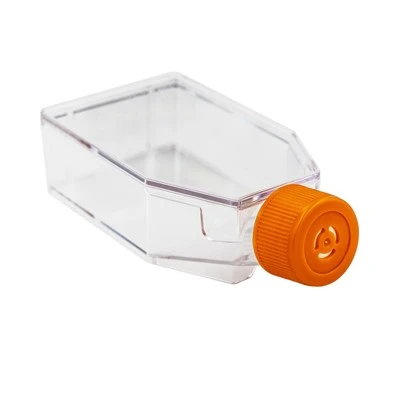 T25 Cell Culture Flask