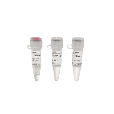 T4 DNA Ligase (5 U/μL )