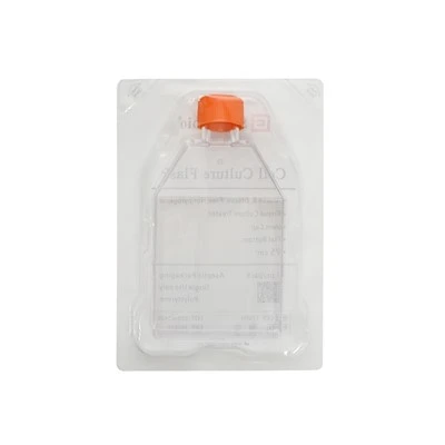 T75 Cell Culture Flask