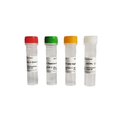 Taq U DNA Polymerase（for Bisulfite-treated DNA）