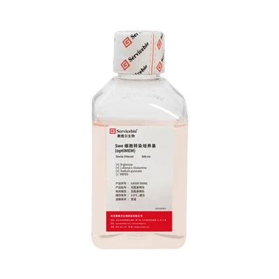 Transfection Medium