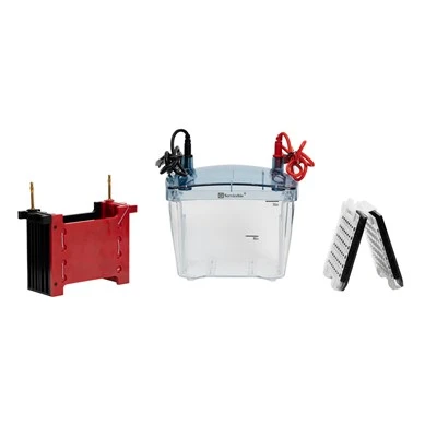 Transfer Electrophoresis System For Bio-Rad