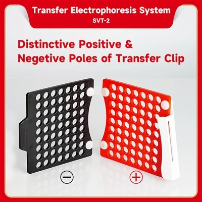 Transfer Electrophoresis System