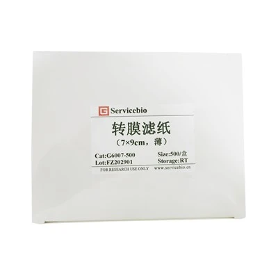 Transfer Membrane Filter Paper (thin)