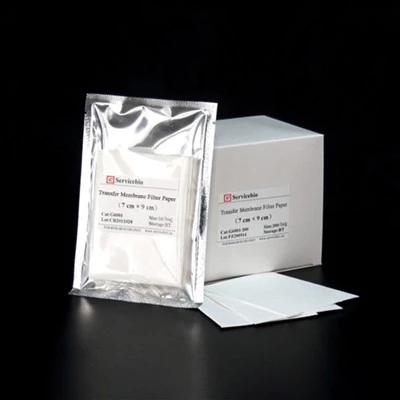 Transfer Membrane Filter Paper