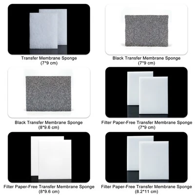 Transfer Membrane Sponge