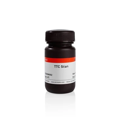 TTC Staining Solution