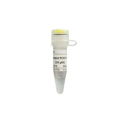 U6 Forward PCR Primer (for MiRNA QRT-PCR)