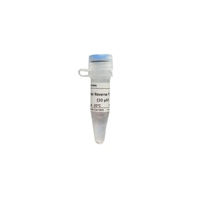 Universal Reverse PCR Primer (for MiRNA QRT-PCR)