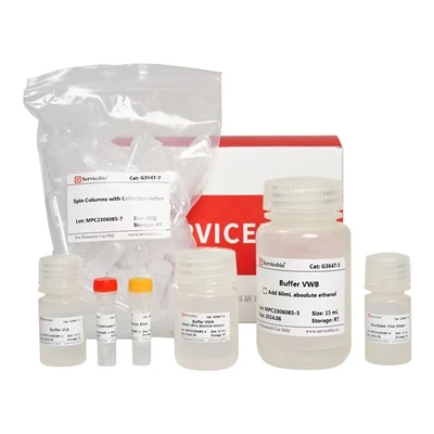 Virus DNA/RNA Extraction Kit