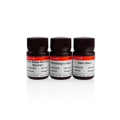 Von Kossa Staining Solution