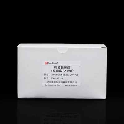 WB Transfer Sponge (Filter Paper-Free，70×90mm)