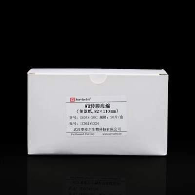 WB Transfer Sponge (Filter Paper-Free，82×110mm）