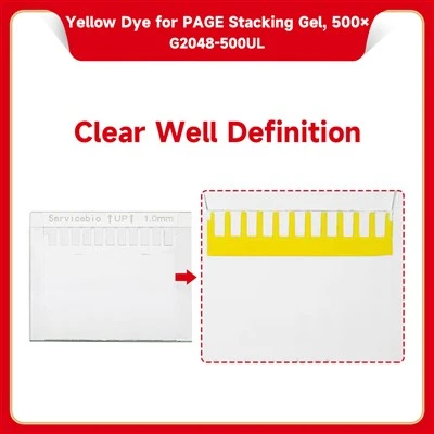 Yellow Dye For PAGE Stacking Gel, 500×
